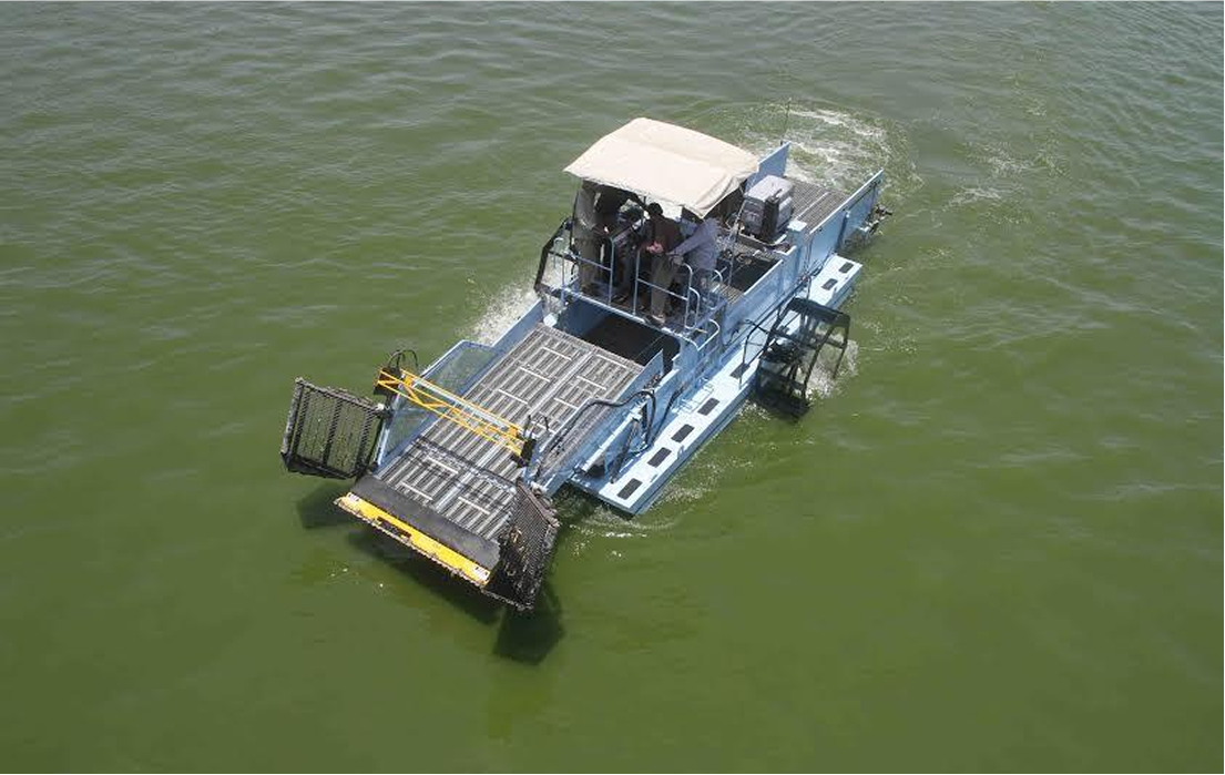 House & Office Container